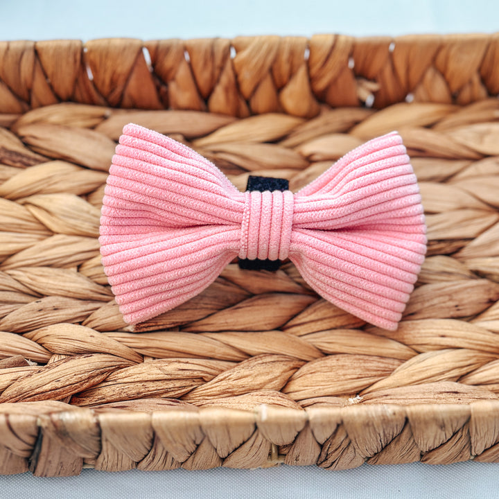 Corduroy Bow Tie - Bubblegum
