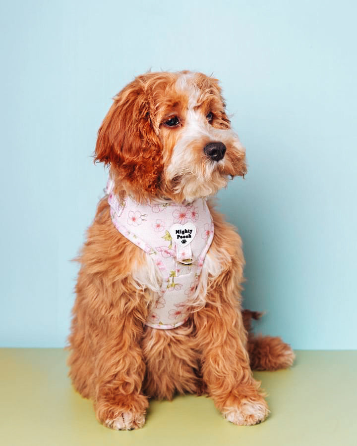 No-Pull Adjustable Harness - Sakura 🌸