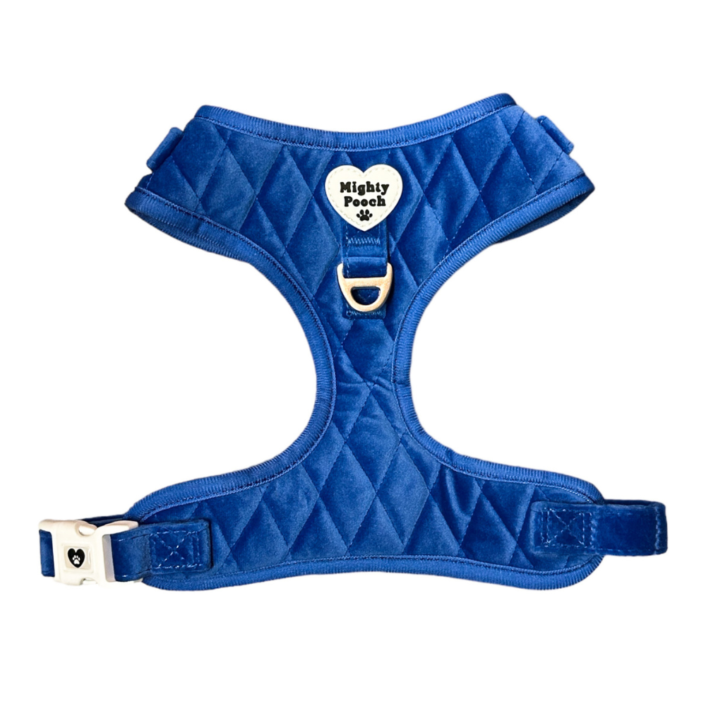 Velvet Adjustable Harness - Sapphire 💙