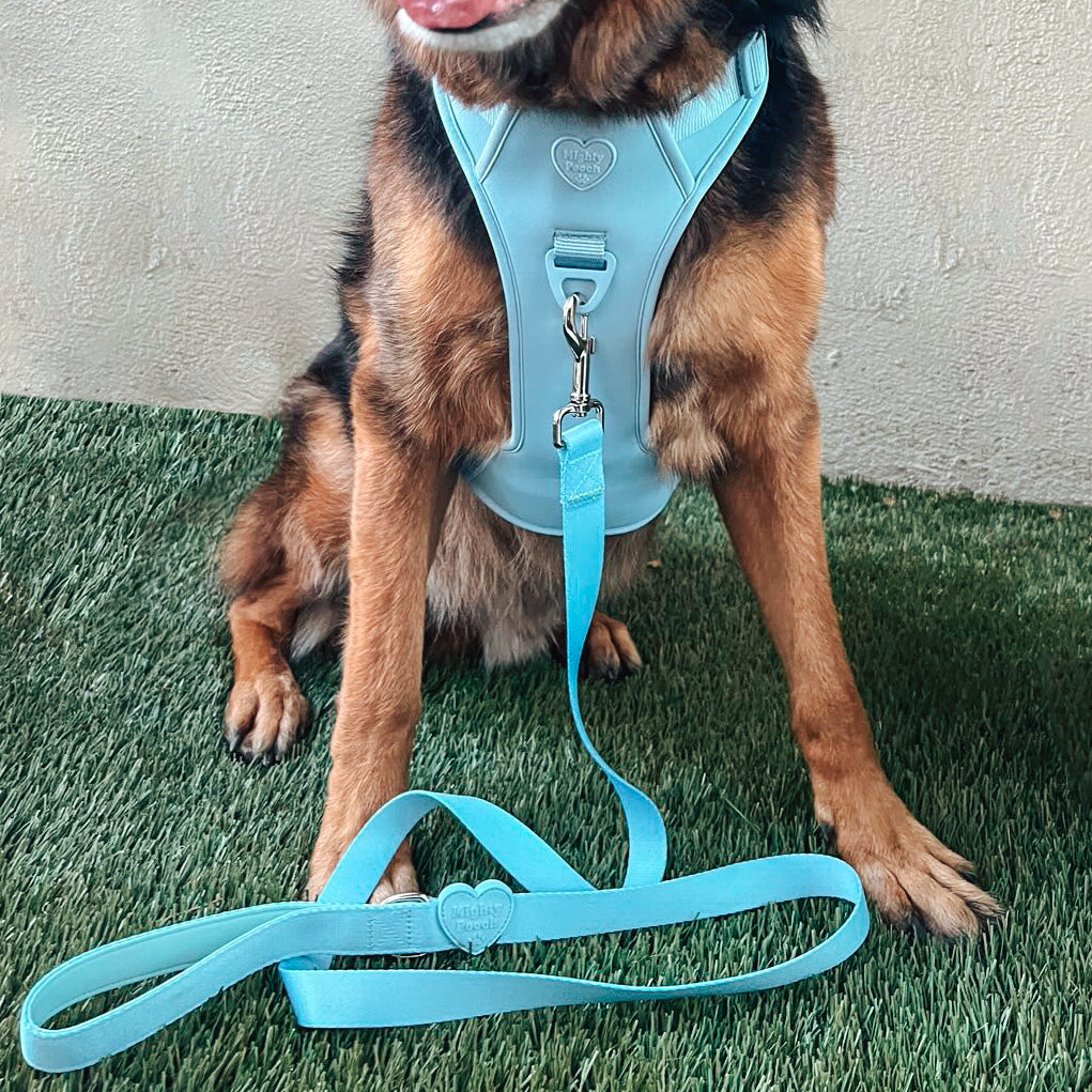 Large Breed Basics No-Pull Harness