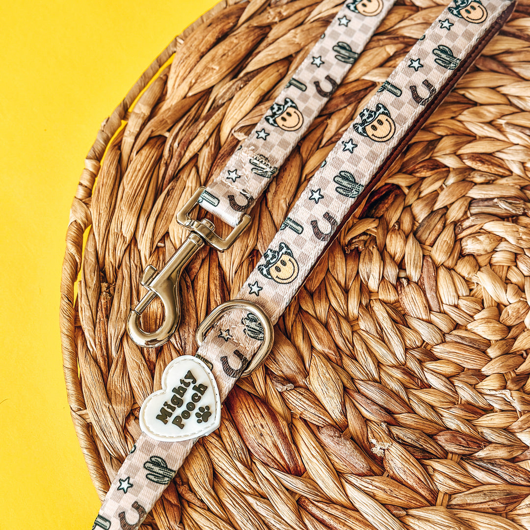 Comfort Leash - YeePaw 🤠