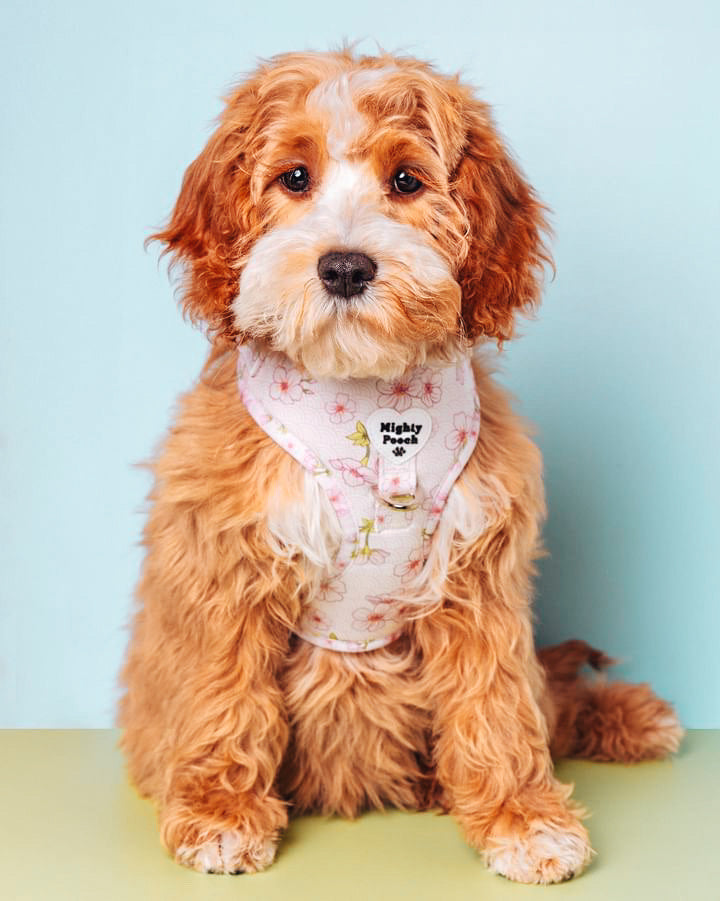 No-Pull Adjustable Harness - Sakura 🌸
