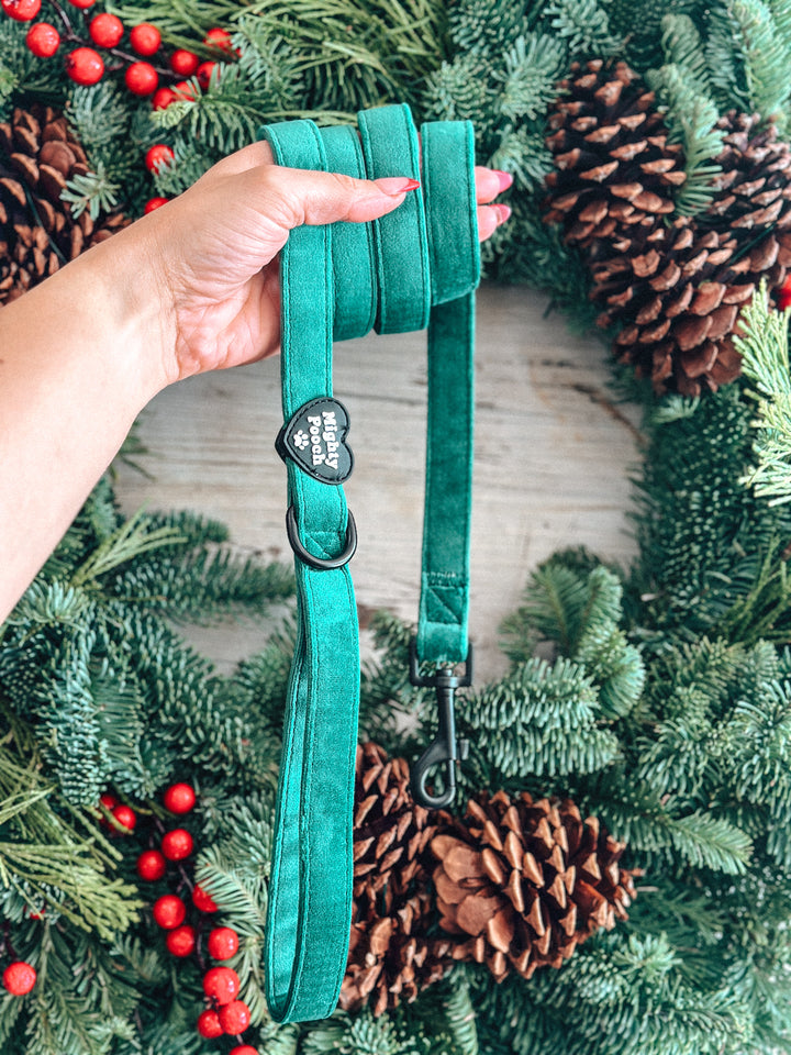 Velvet Comfort Leash - Pine🌲