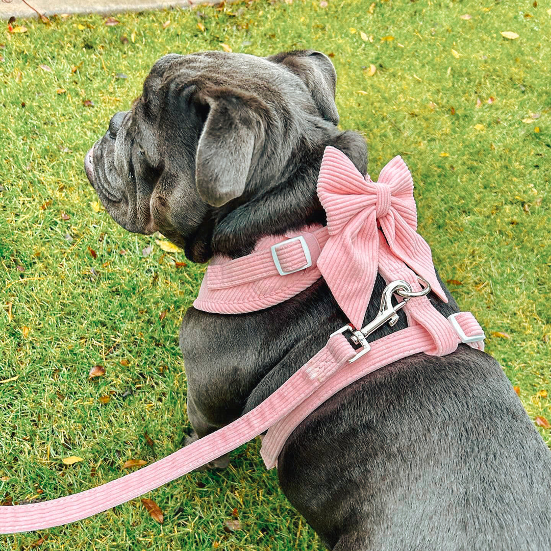 Corduroy Adjustable Harness - Bubblegum