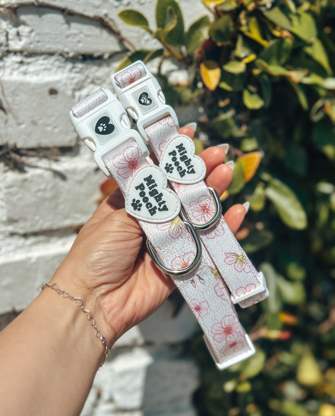 Comfort Collar - Sakura 🌸