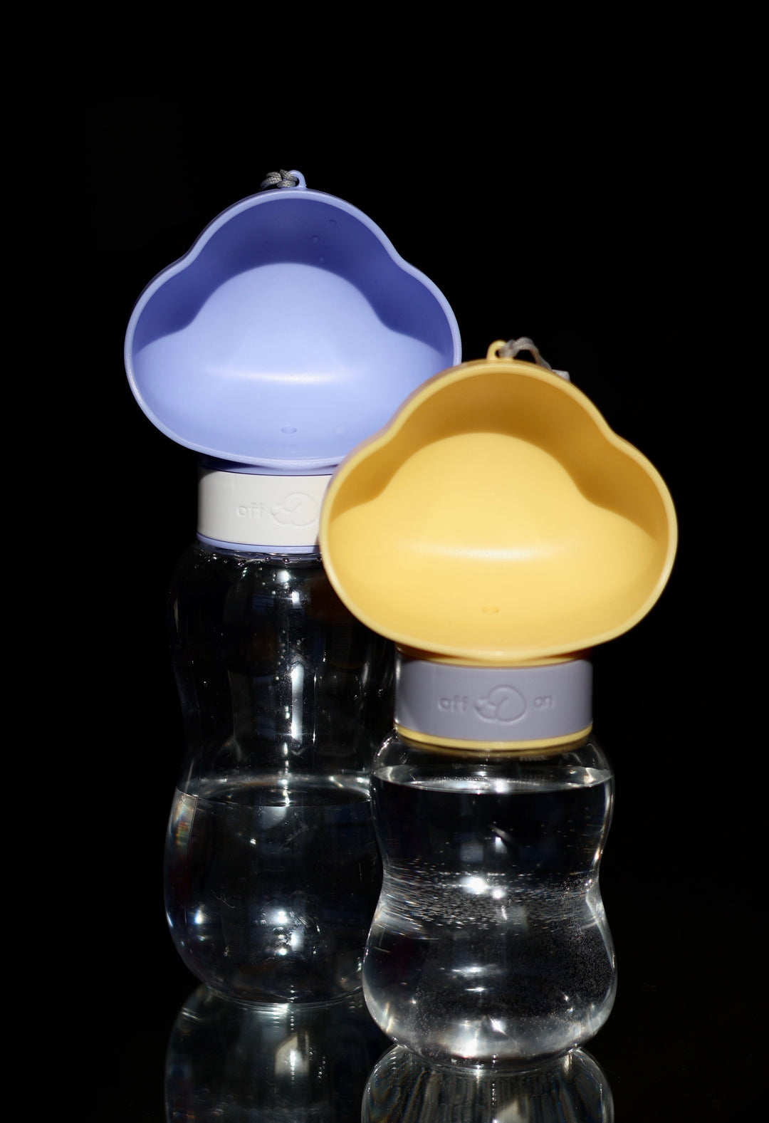 Portable Water Dispenser
