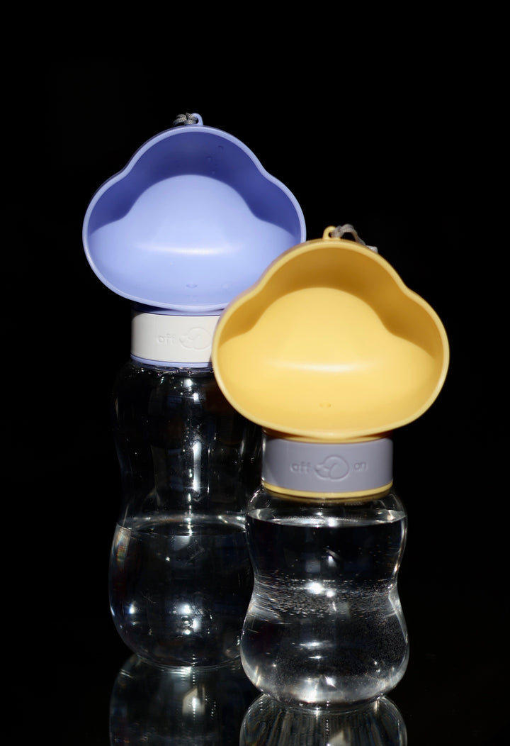 Portable Water Dispenser