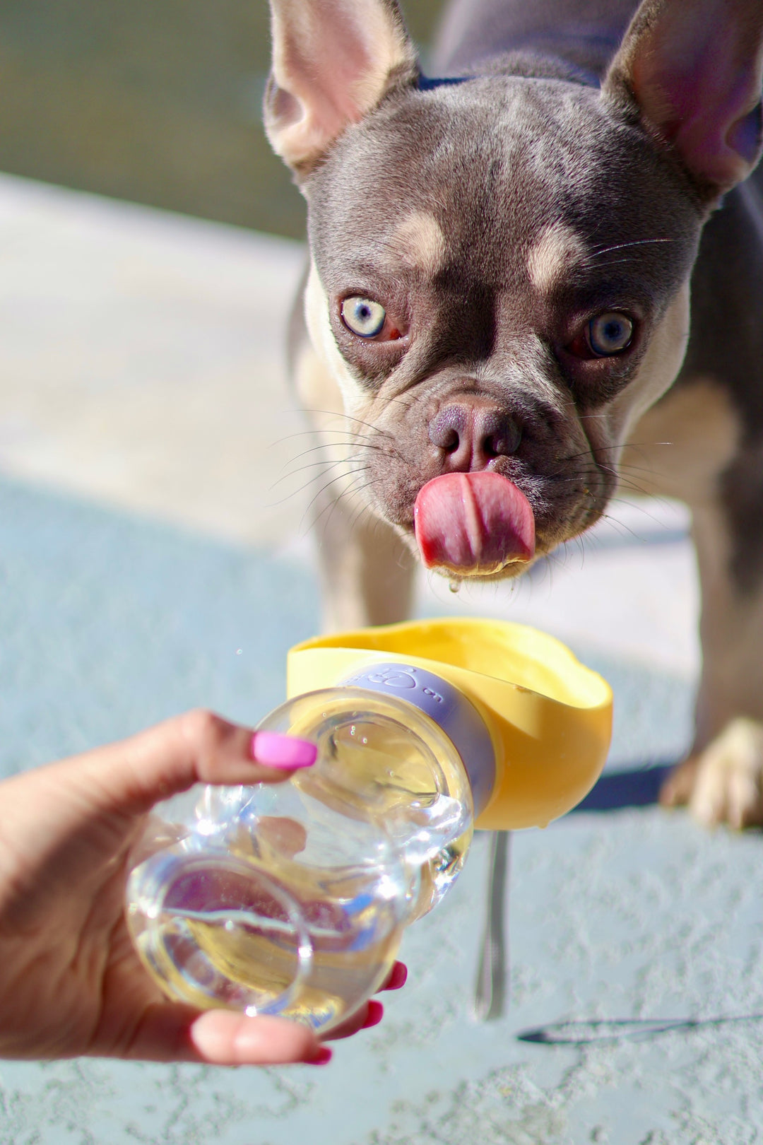 Portable Water Dispenser
