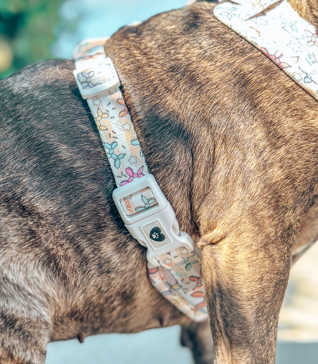 No-Pull Adjustable Harness - Pawty Animals 🎉
