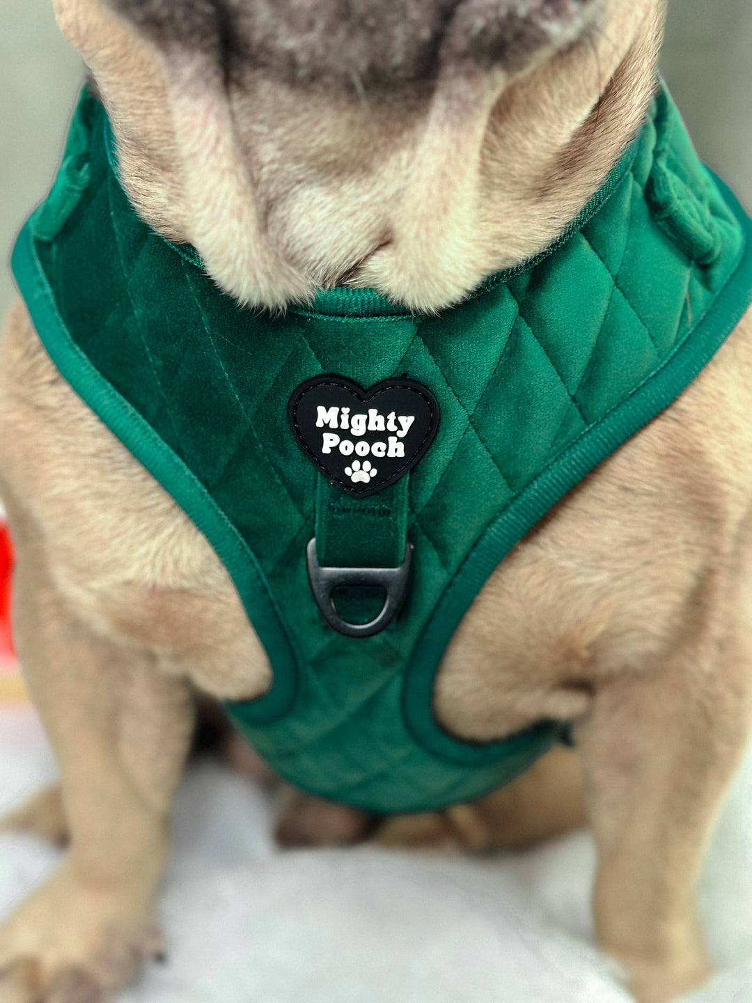 Velvet Adjustable Harness - Pine🌲