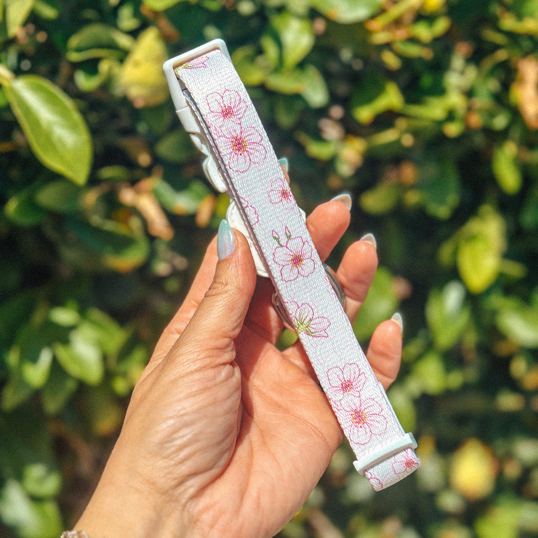 Comfort Collar - Sakura 🌸