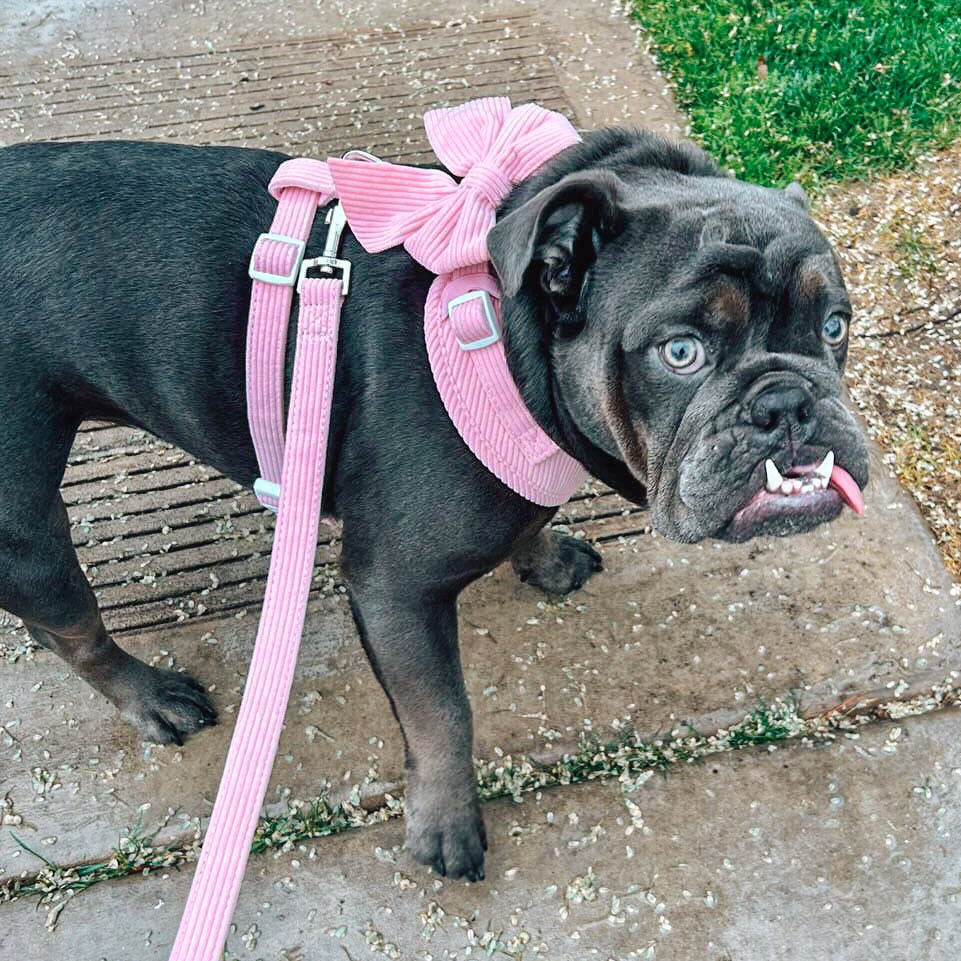 Corduroy Adjustable Harness - Bubblegum