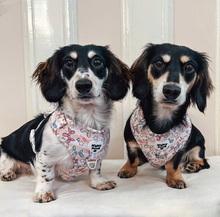 No-Pull Adjustable Harness - Pawty Animals 🎉