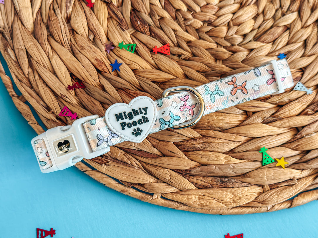 Comfort Collar - Pawty Animals 🎉