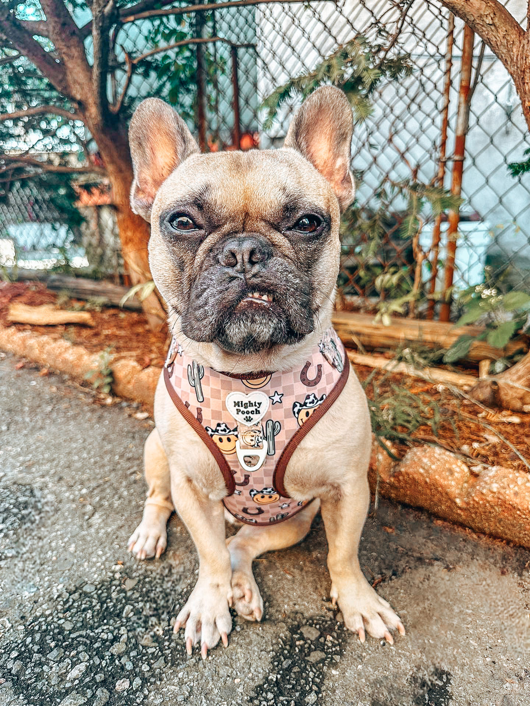 No-Pull Adjustable Harness - YeePaw 🤠
