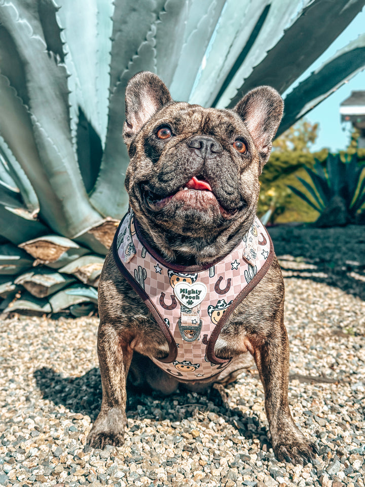 No-Pull Adjustable Harness - YeePaw 🤠