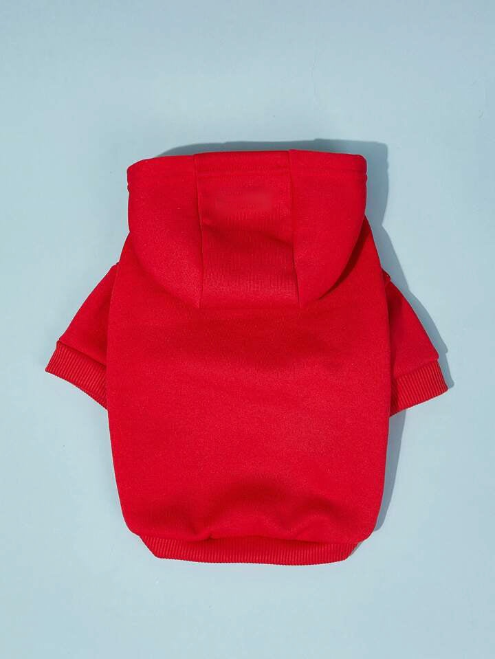 Solid Colored Hoodie