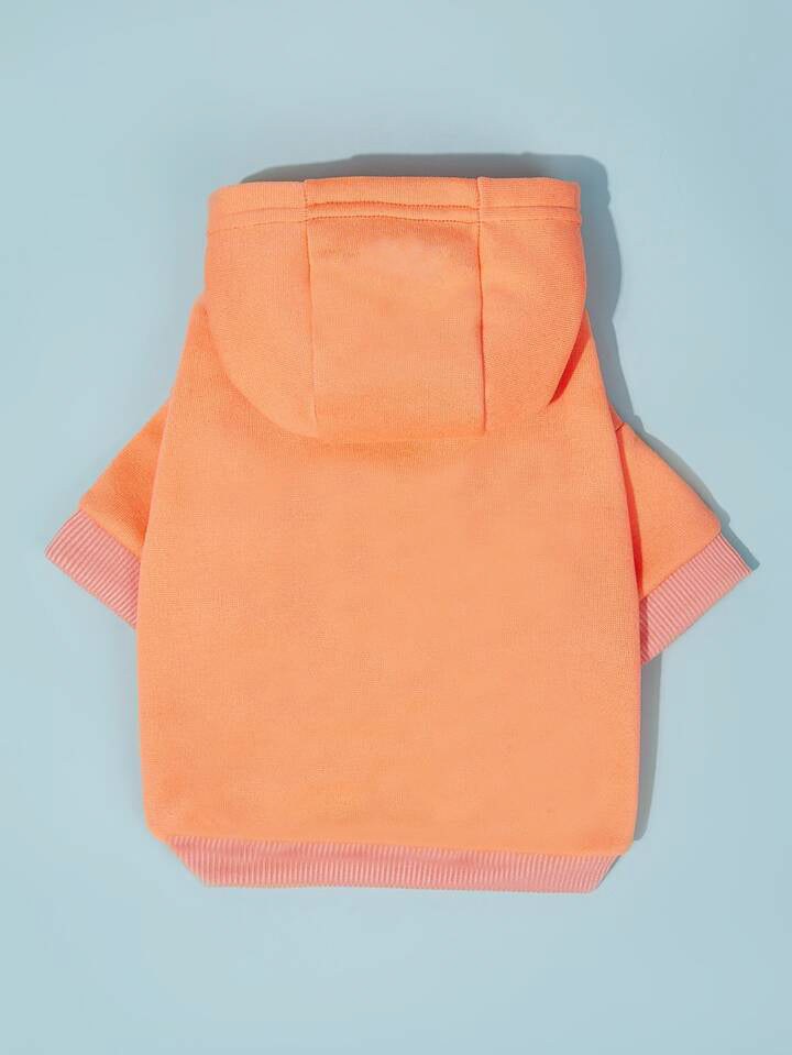 Solid Colored Hoodie