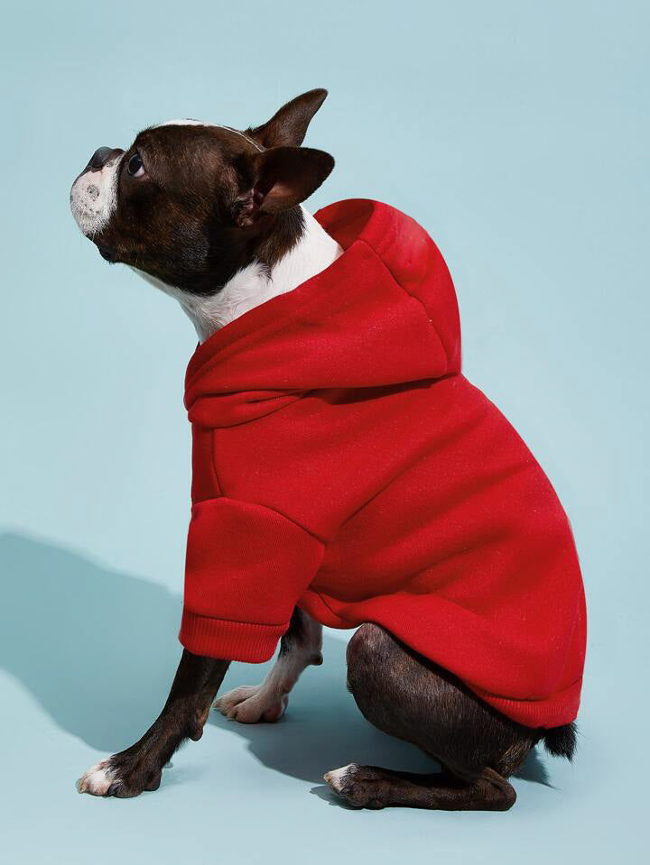 Solid Colored Hoodie