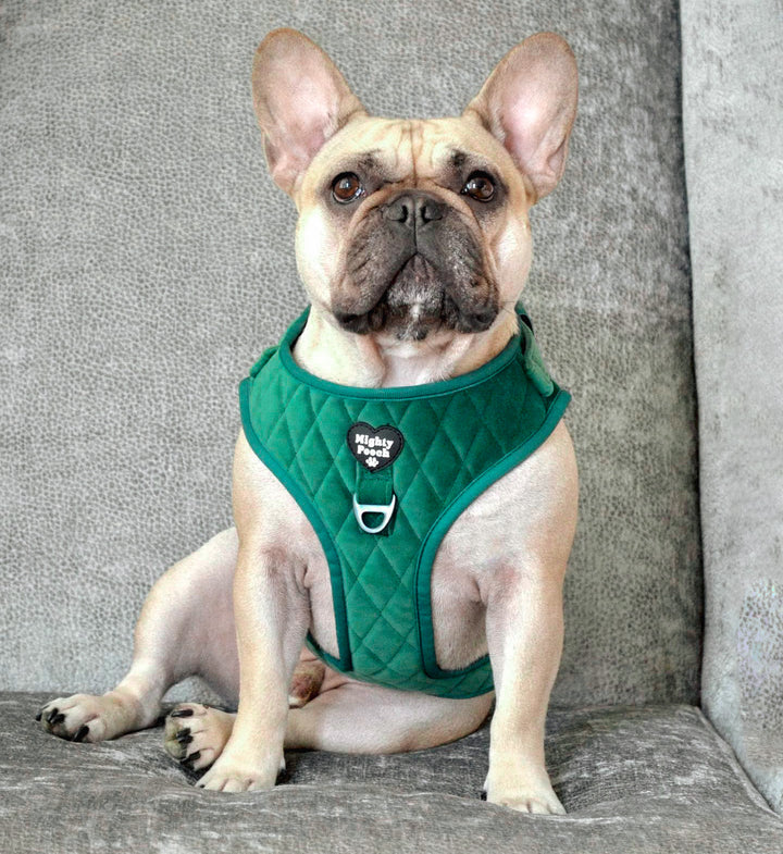 Velvet Adjustable Harness - Pine🌲