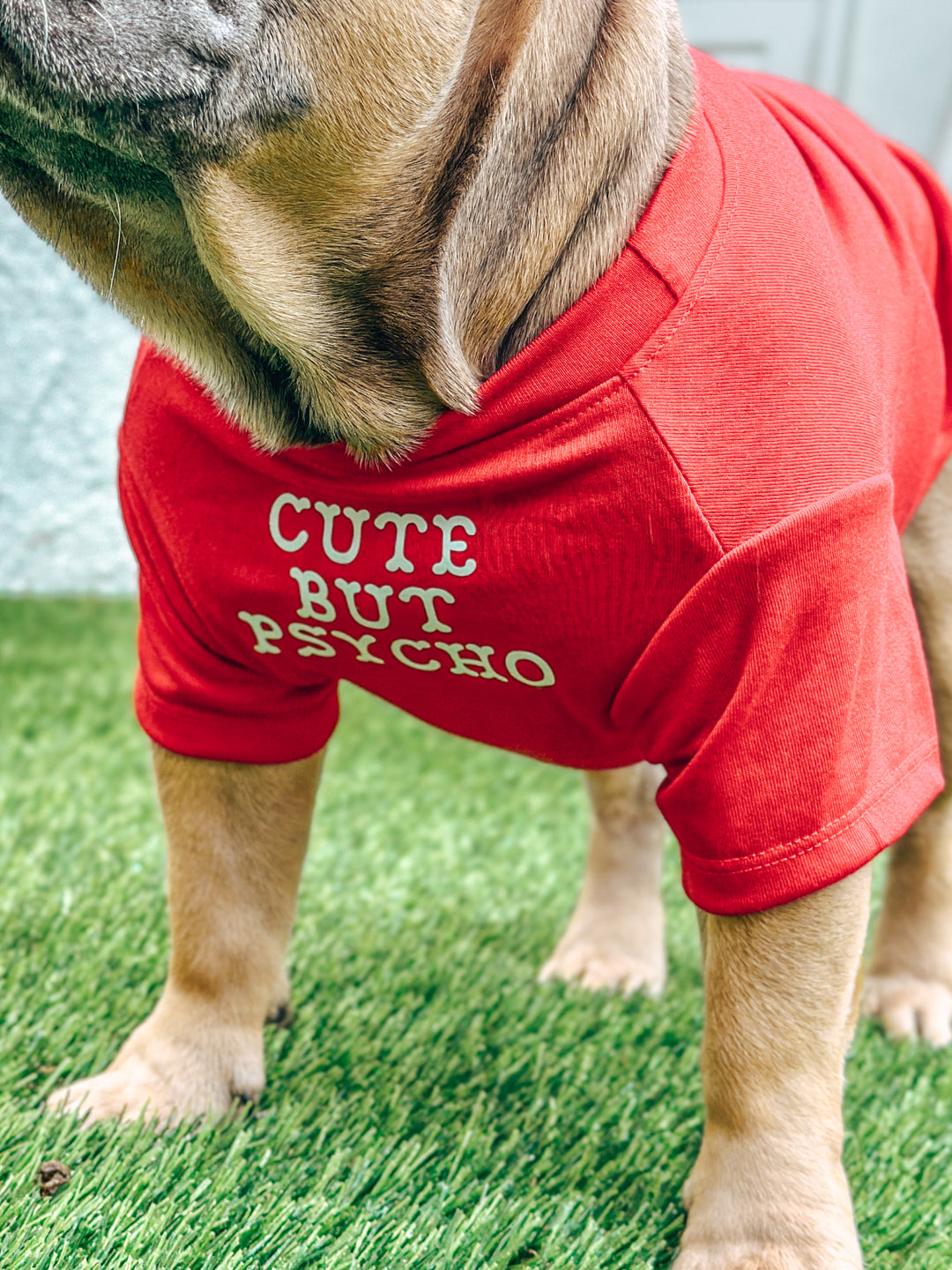 Cute But Psycho T-Shirt