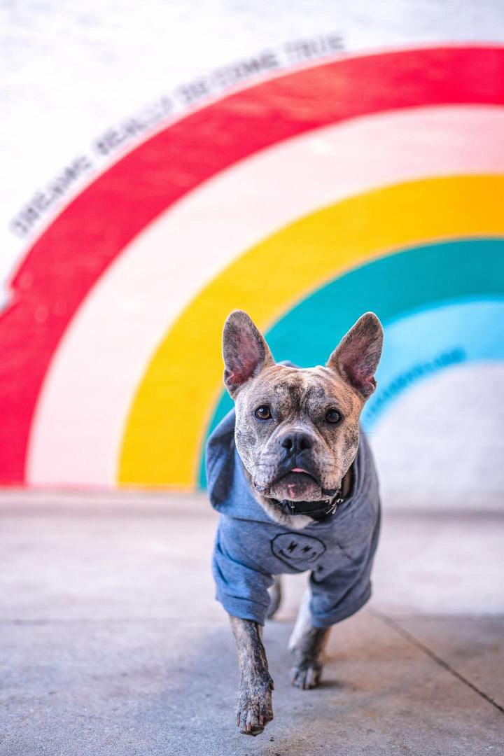 Solid Colored Hoodie