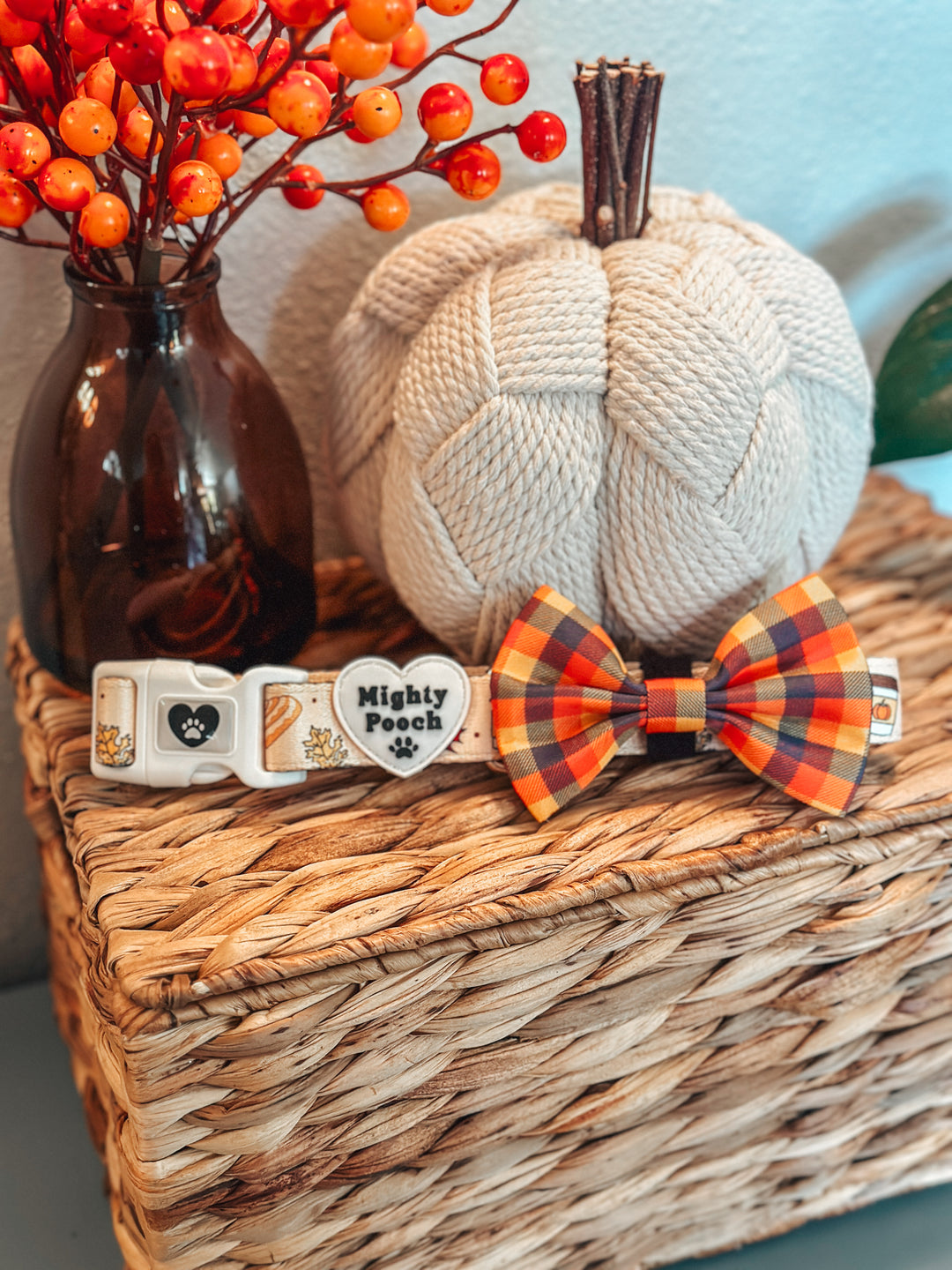 Comfort Collar - Pupkin Spice 🍁