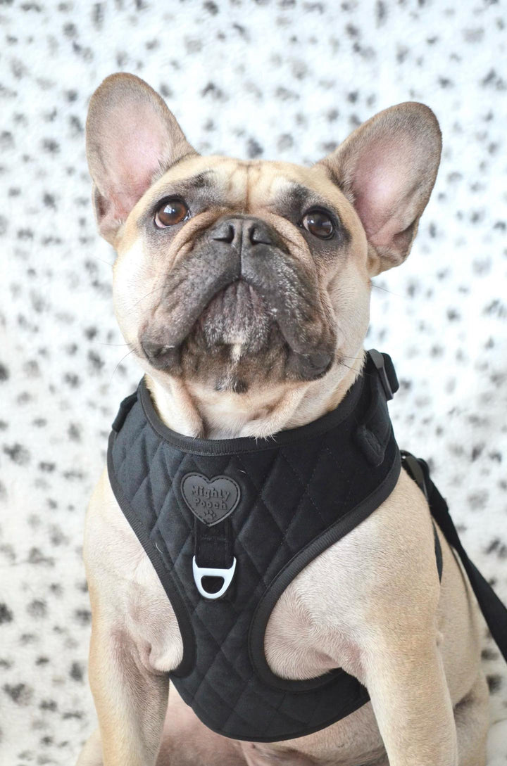 Velvet Adjustable Harness - Onyx 🖤