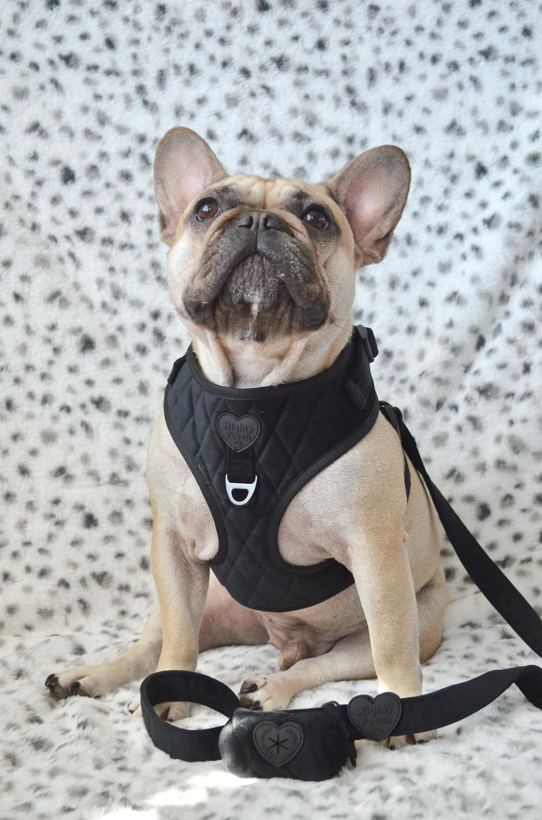 Velvet Adjustable Harness - Onyx 🖤