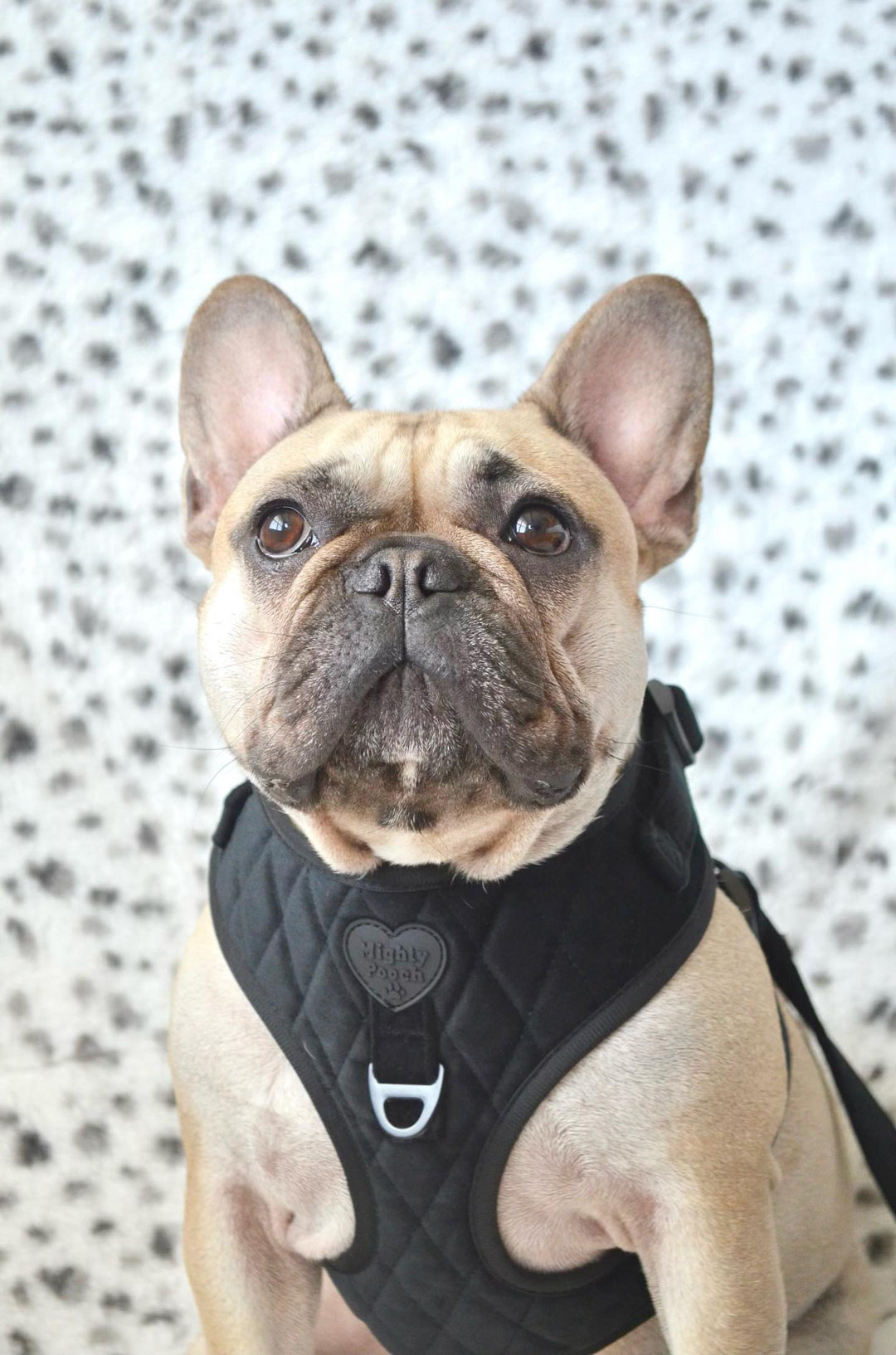 Velvet Adjustable Harness - Onyx 🖤