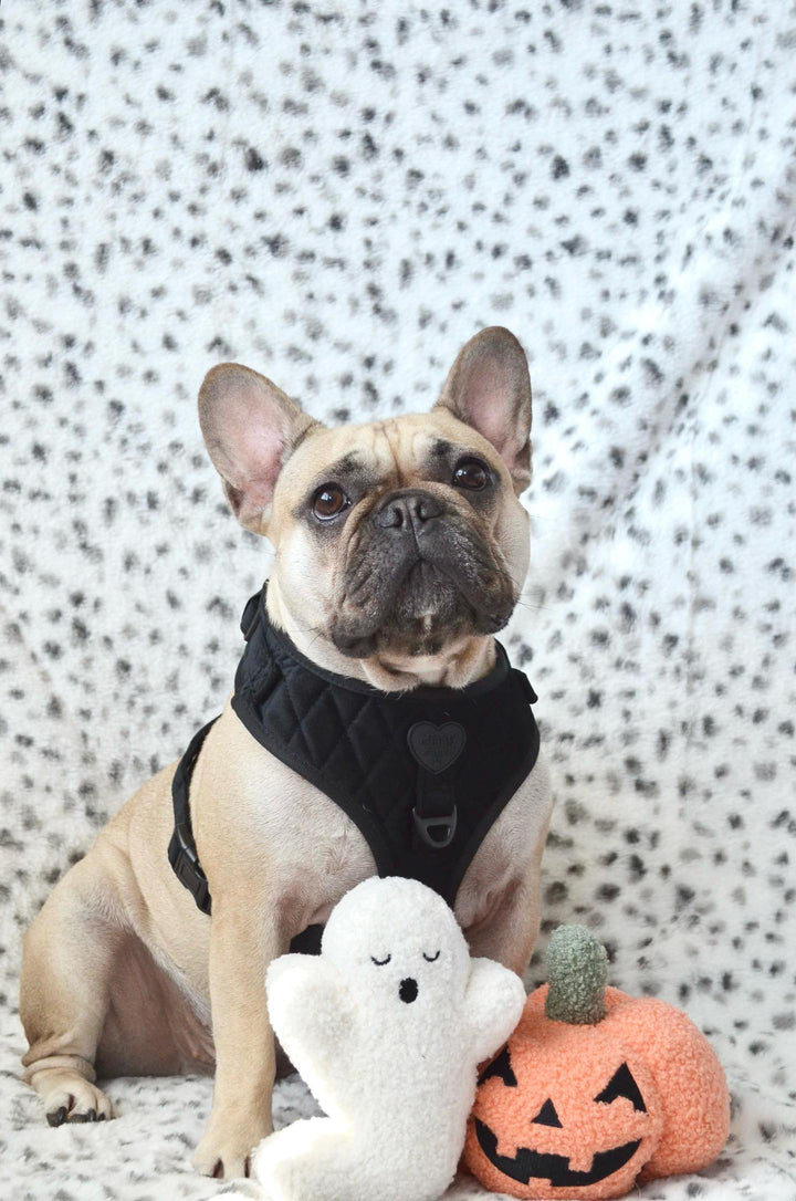 Velvet Adjustable Harness - Onyx 🖤
