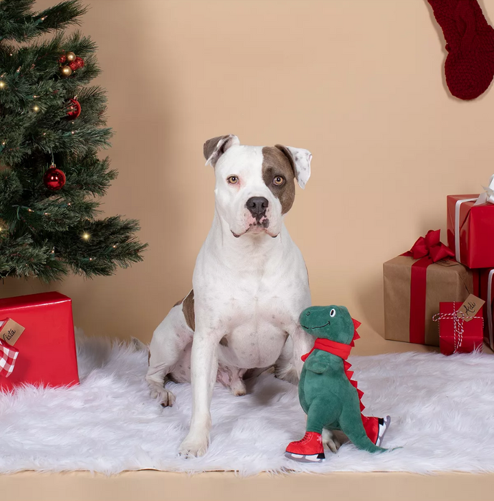 Skating Dino Plushie