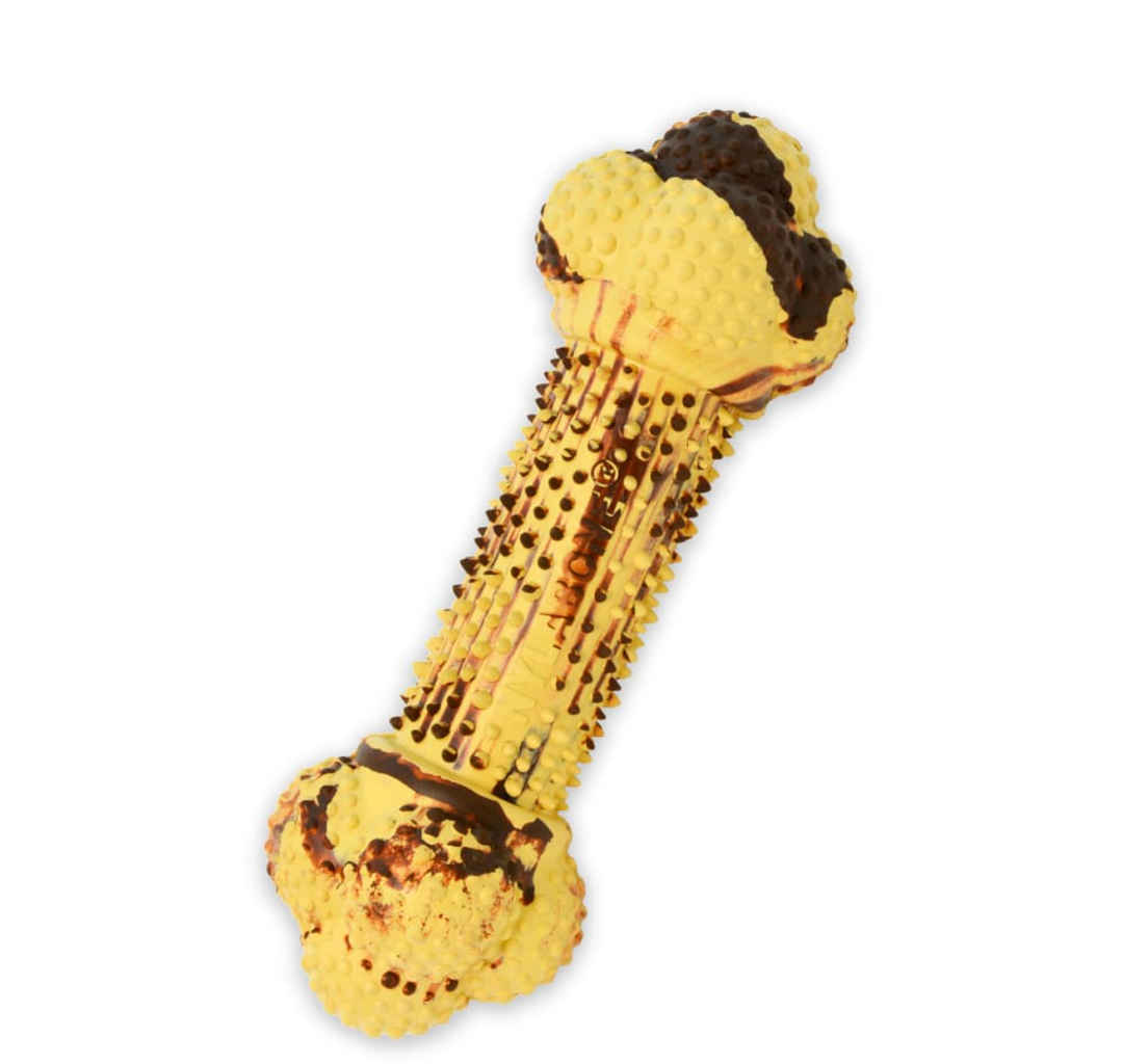 Nylabone Strong & Fun Variety Treat Dog Toy - Fill w/ Treats - 3pk