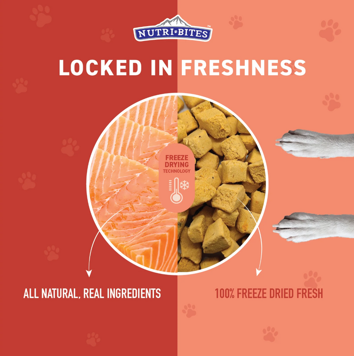Nutri Bites Freeze Dried Salmon - 14oz