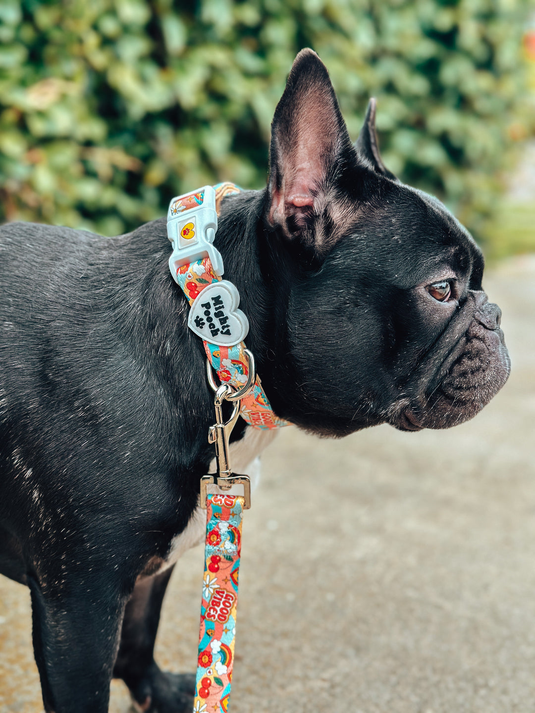 Comfort Leash - Retro Babe ☮️