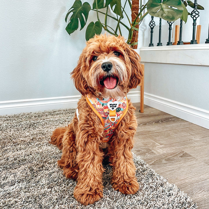 No-Pull Adjustable Harness - Retro Babe ☮️