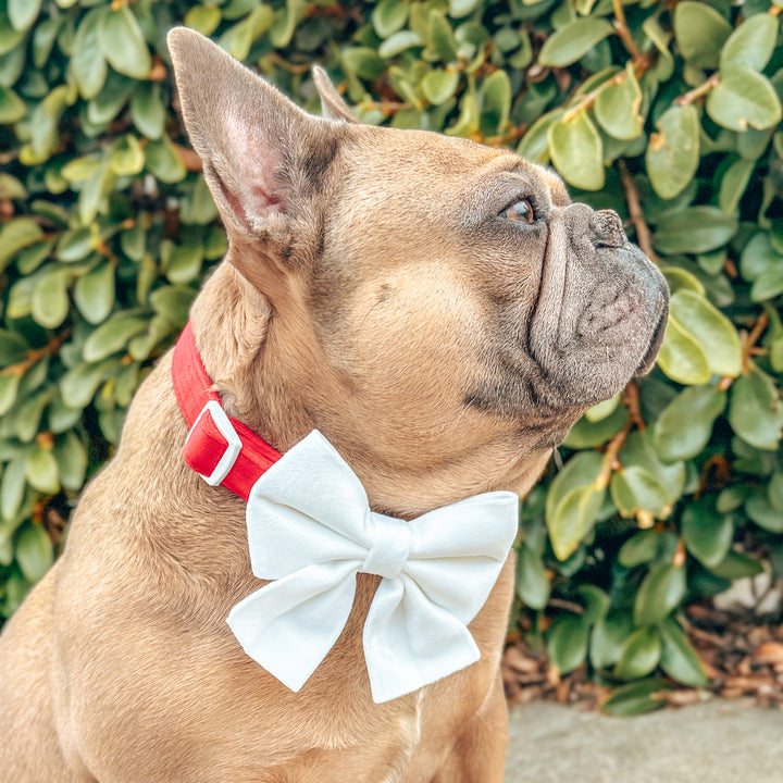 Velvet Sailor Bow - White