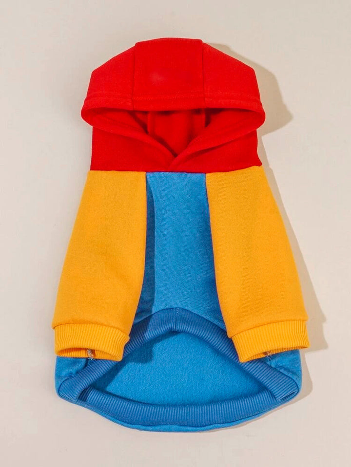 Block Colored Hoodie