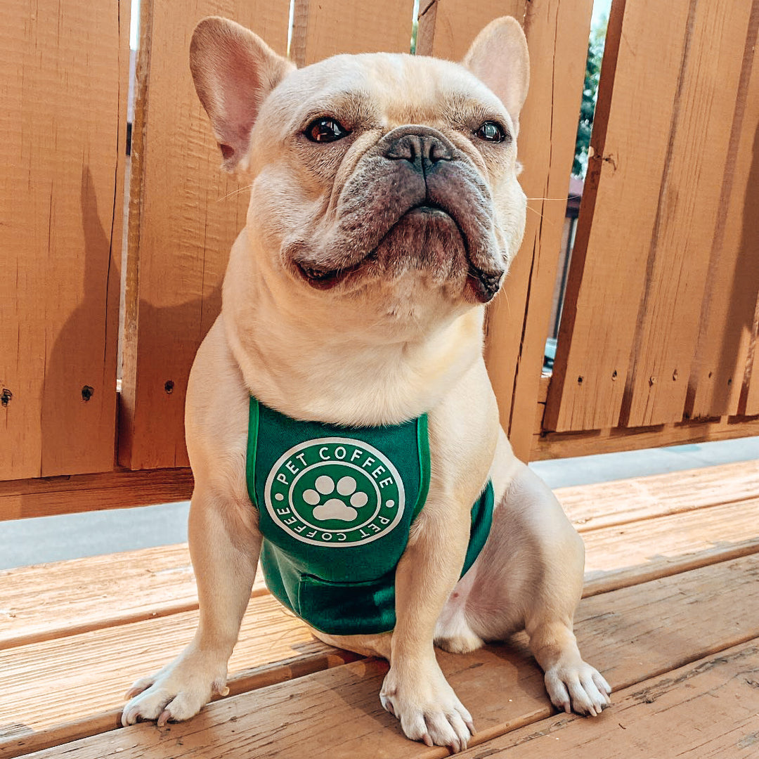 Starpaws Puppuccino Apron