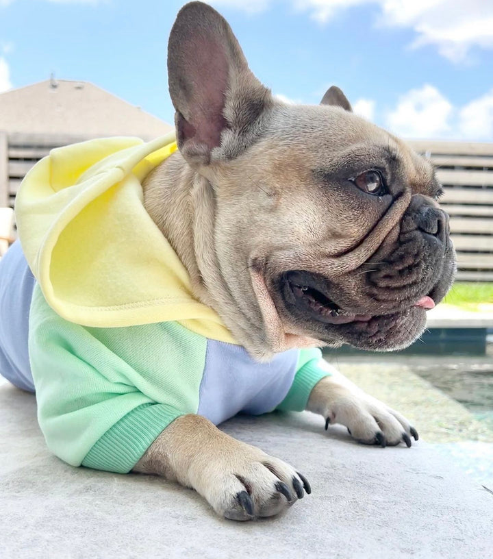 Block Colored Hoodie