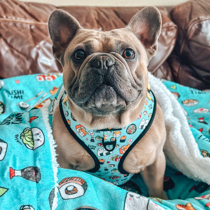 Throw Blanket - Sushi Time 🍣