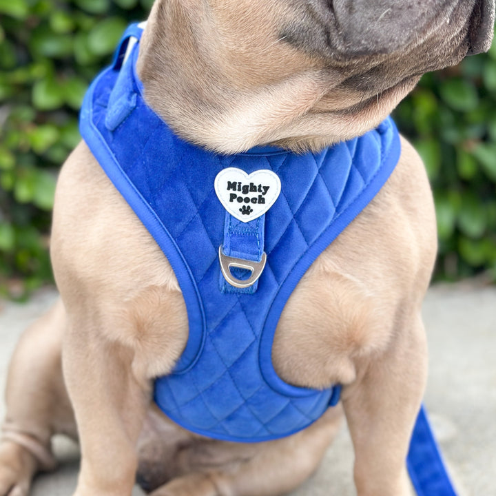 Velvet Adjustable Harness - Sapphire 💙
