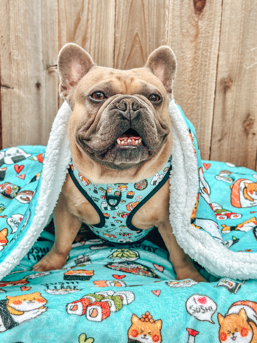 Throw Blanket - Sushi Time 🍣