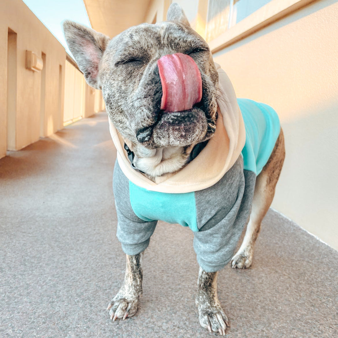 Block Colored Hoodie