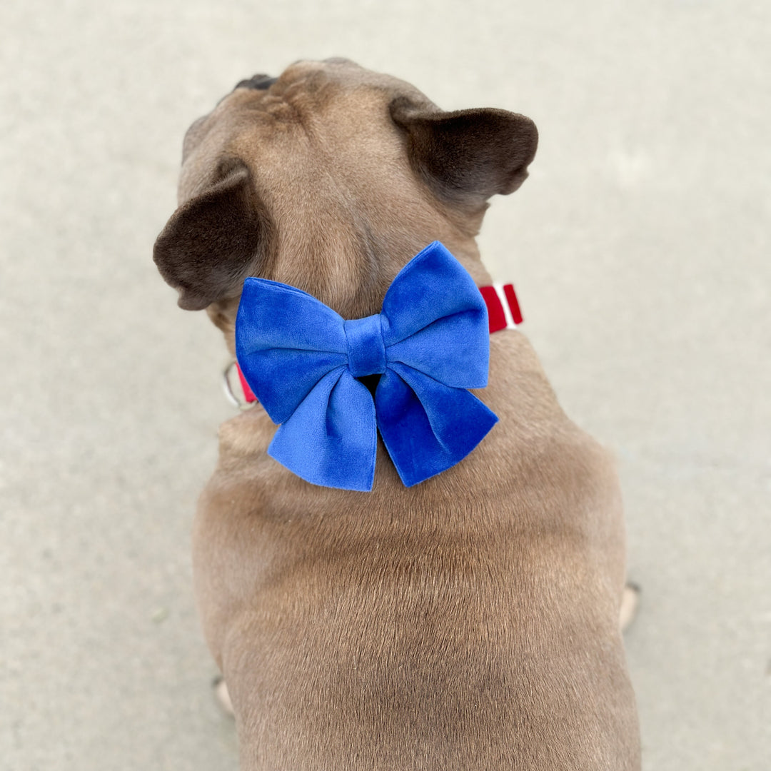Velvet Sailor Bow - Sapphire
