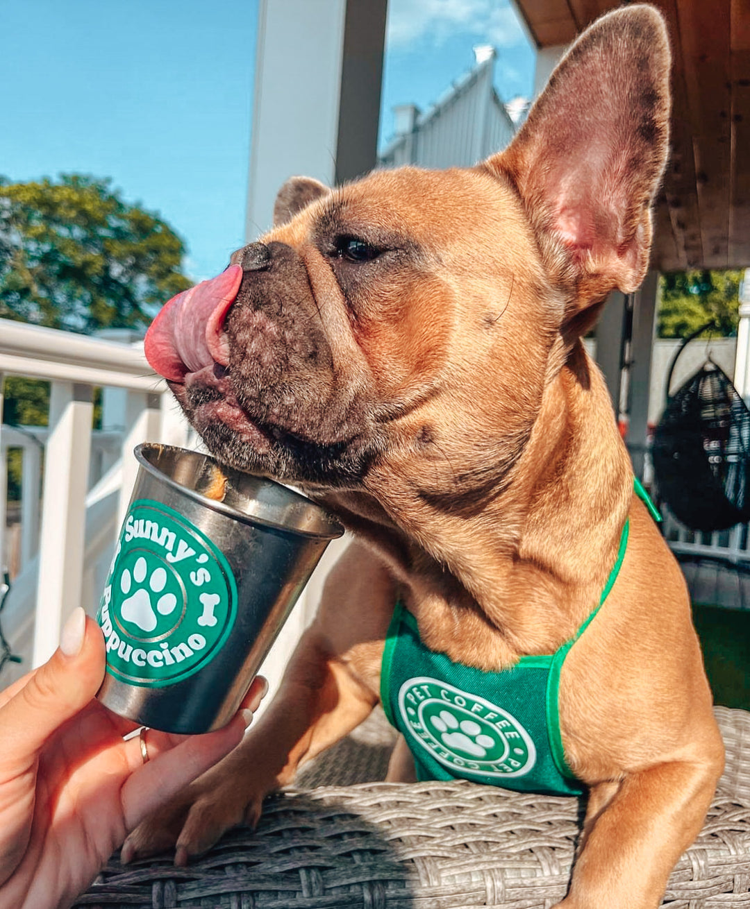 Starpaws Puppuccino Apron