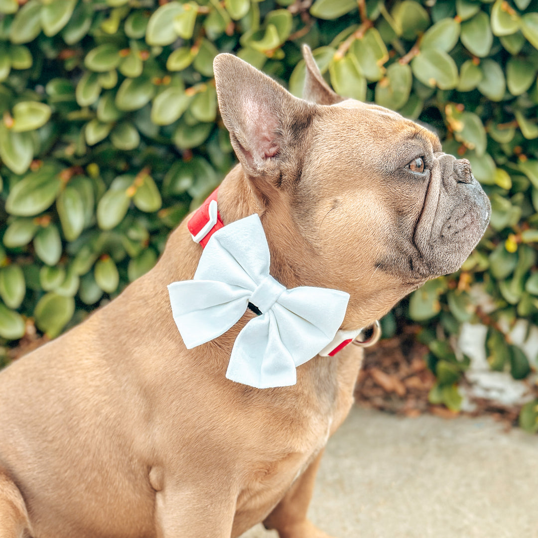 Velvet Sailor Bow - White