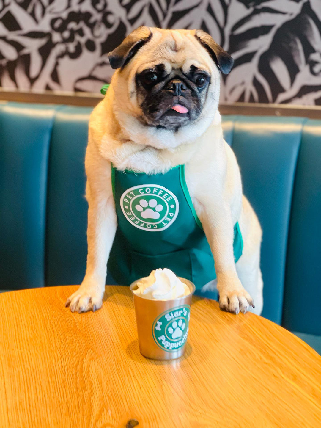 Starpaws Puppuccino Apron