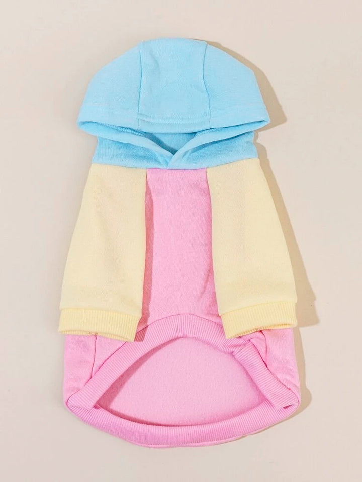 Block Colored Hoodie