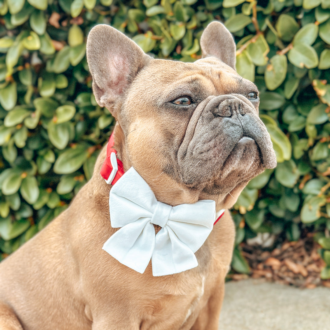 Velvet Sailor Bow - White